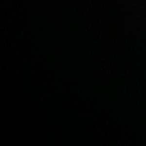 Meet your Posher, Eva